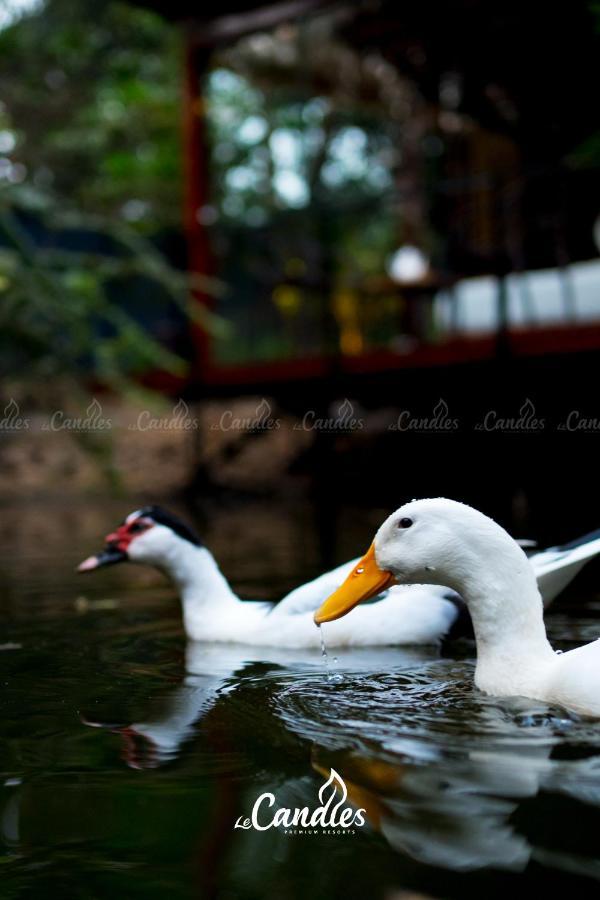 Le Candles Resort Calicut Exterior foto
